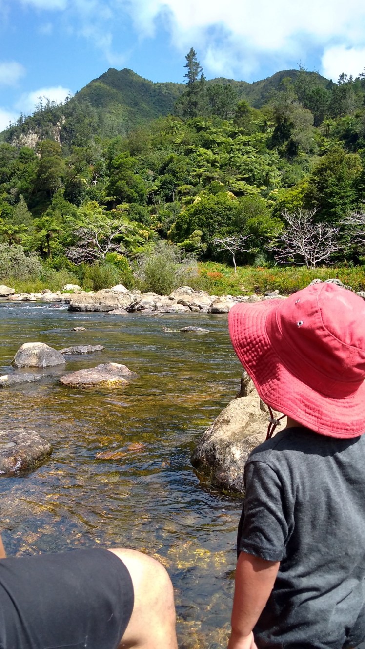 IMG_20190128_152930178_HDR ed