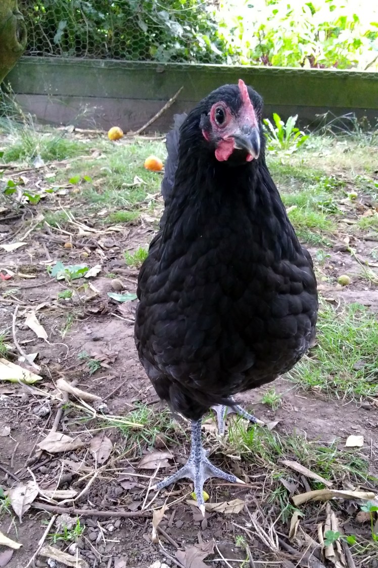 IMG_20190207_075634714_HDR 3x2