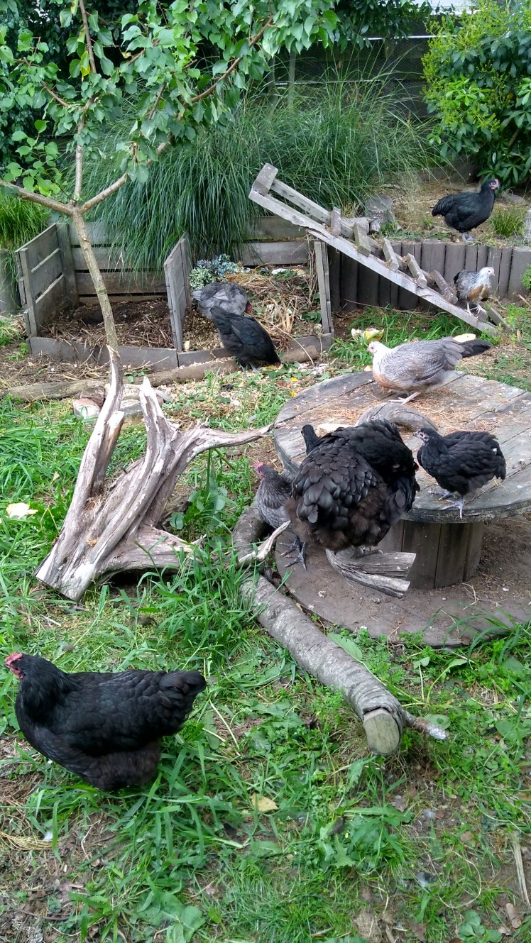 IMG_20190217_180011619_HDR