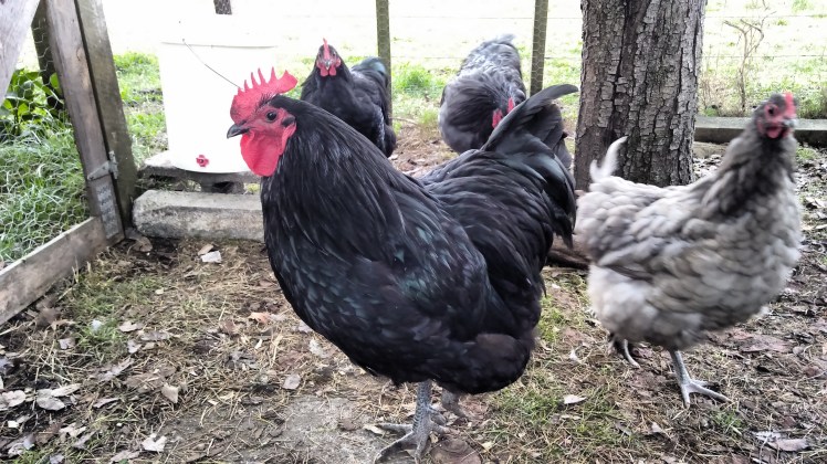 IMG_20190414_072131925