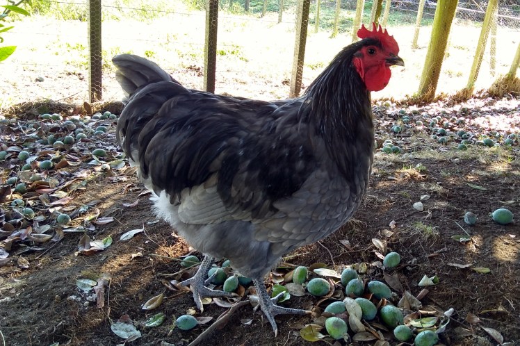 IMG_20190415_093917228_HDR 3x2