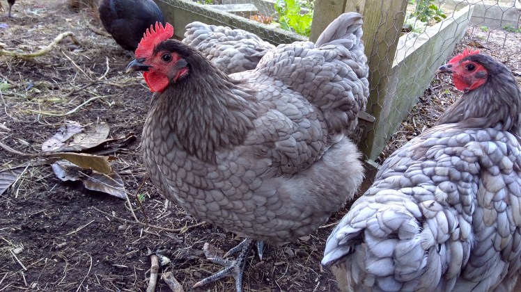 IMG_20190430_161330113_HDR