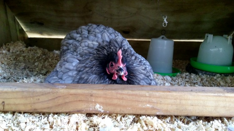 IMG_20190506_130527699_HDR