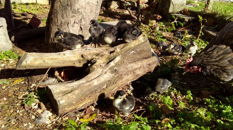 IMG_20190517_102812360_HDR