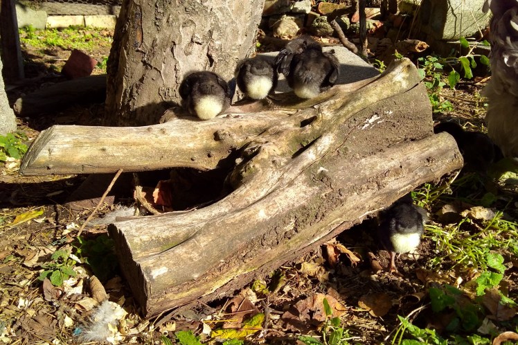 IMG_20190517_102851595_HDR 3x2