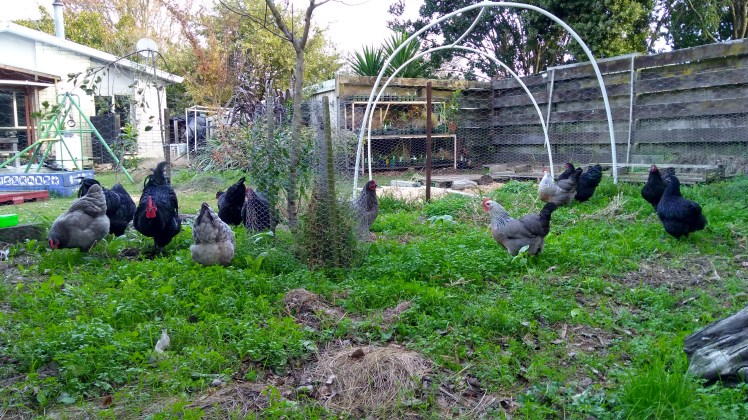 IMG_20190520_160606789_HDR