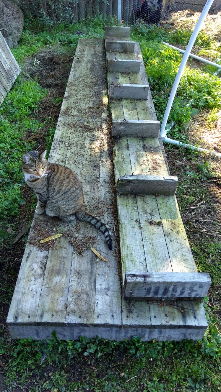 IMG_20190525_132459429_HDR