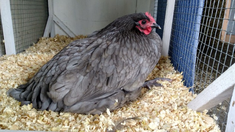 IMG_20190528_091845731_HDR