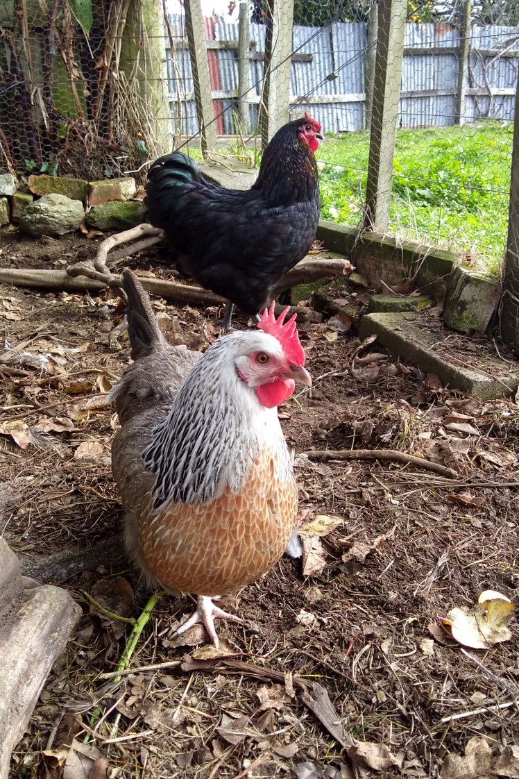 IMG_20190624_123605601_HDR 3x2.jpg