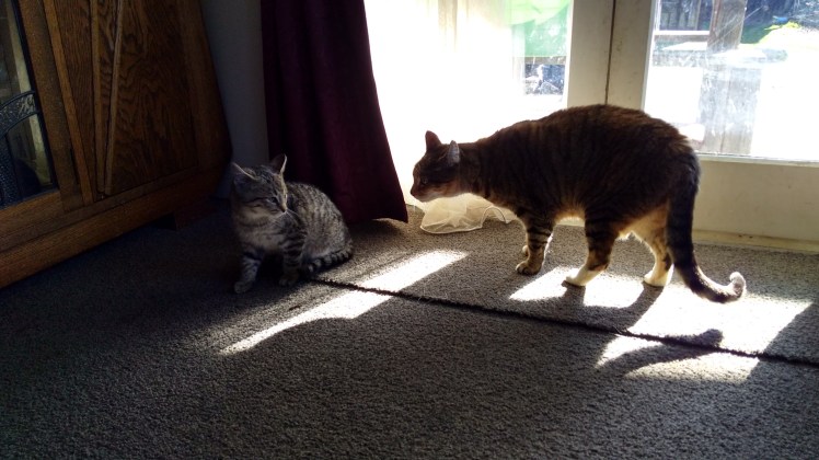 IMG_20190627_131344960_HDR