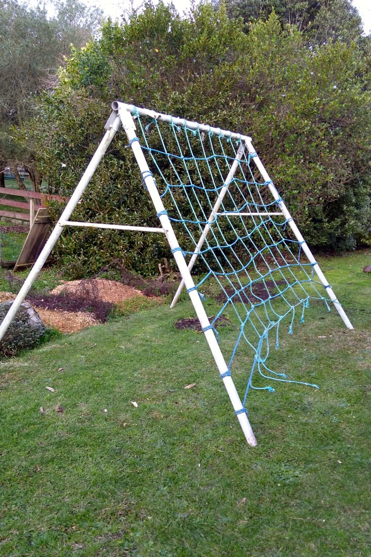 IMG_20190715_164311612_HDR 3x2.jpg