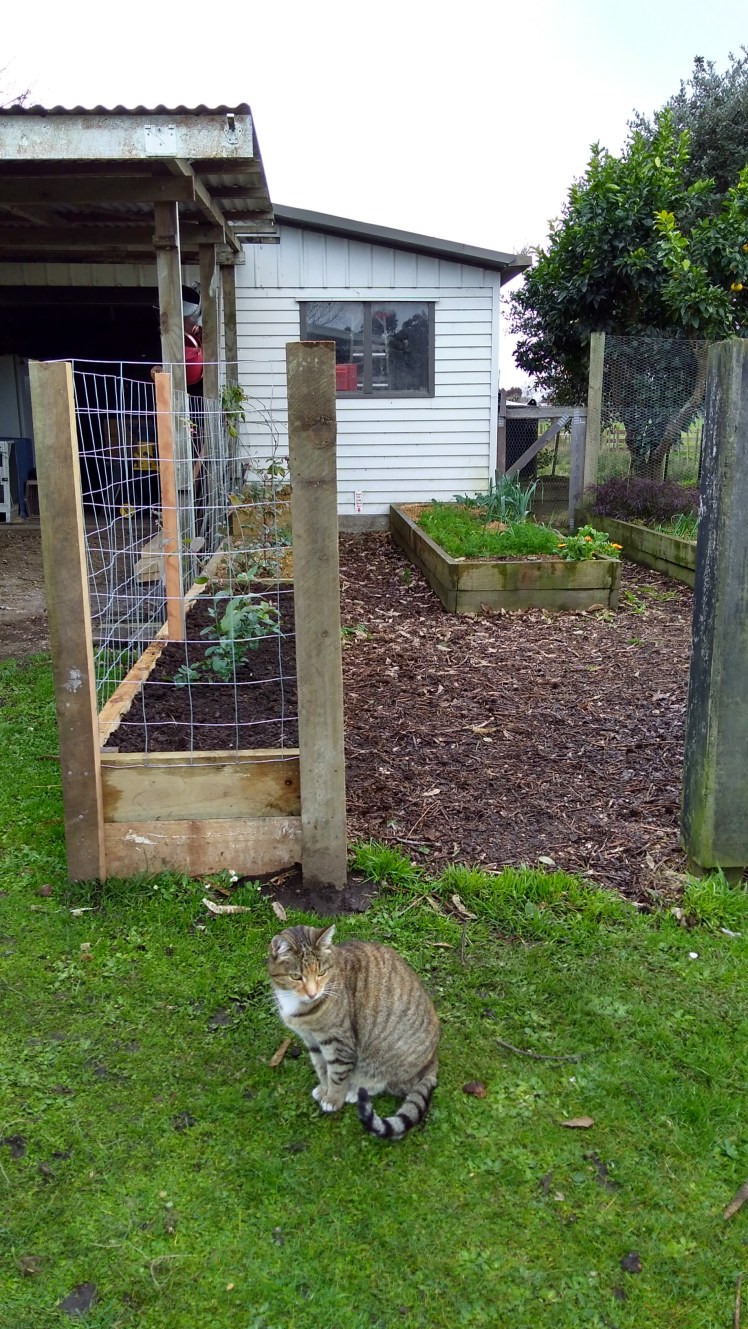 IMG_20190716_122142258_HDR