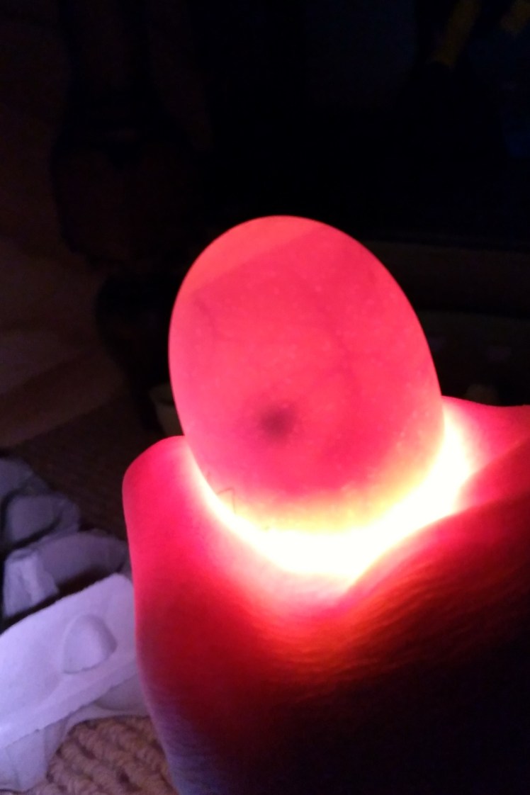 IMG_20190718_190929553_HDR 3x2.jpg