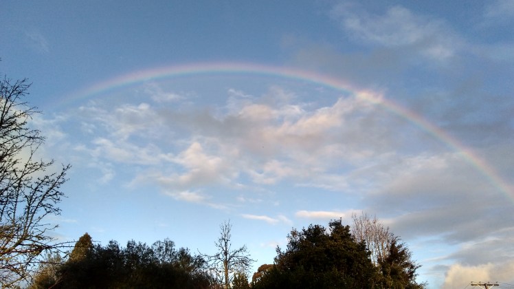 IMG_20190726_170356350_HDR