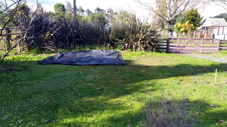 IMG_20190817_100002605_HDR