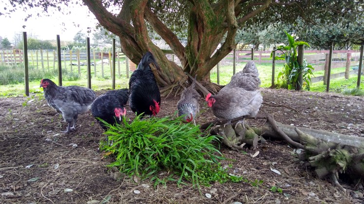 IMG_20190817_112955646_HDR