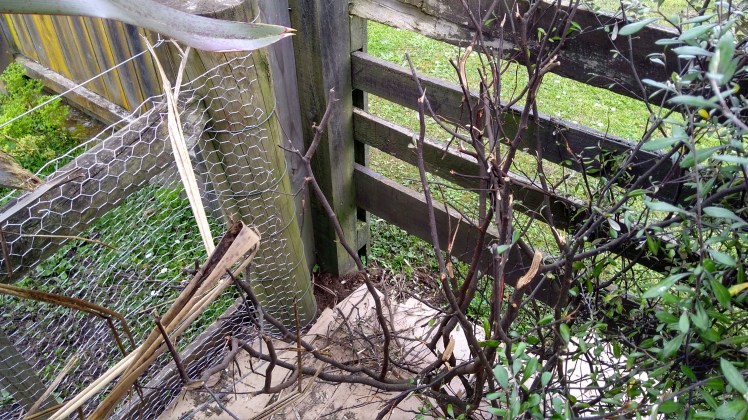 IMG_20190923_152634382_HDR