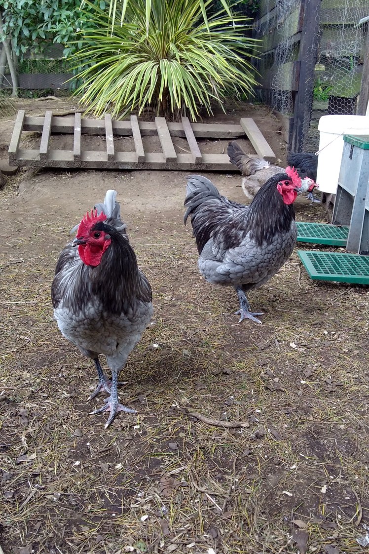 IMG_20191010_093753021_HDR 3x2