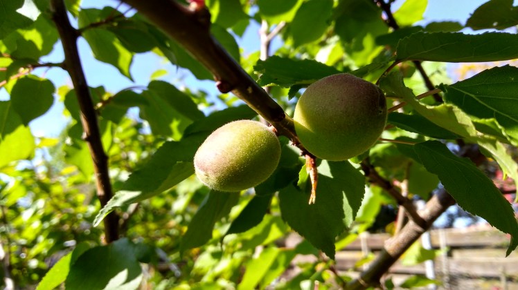 IMG_20191013_094242731_HDR