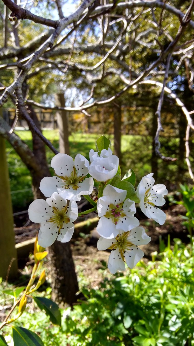 IMG_20191013_105916504_HDR