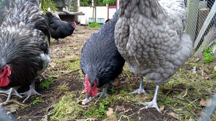 IMG_20191014_093210043_HDR