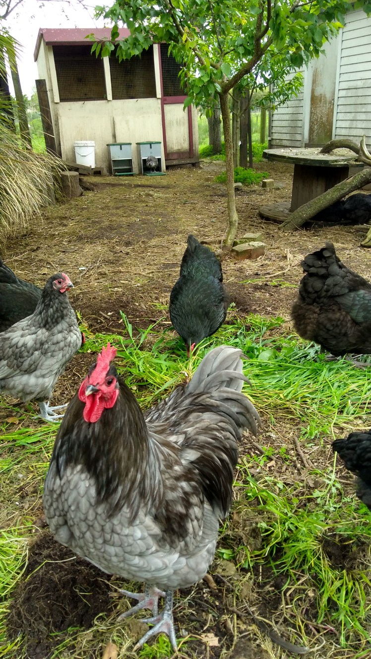 IMG_20191017_164724429_HDR