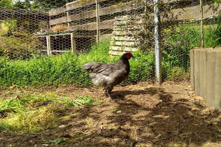 IMG_20191021_103338250_HDR 3x2