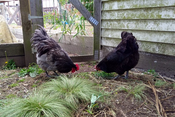 IMG_20191109_170352075_HDR 3x2