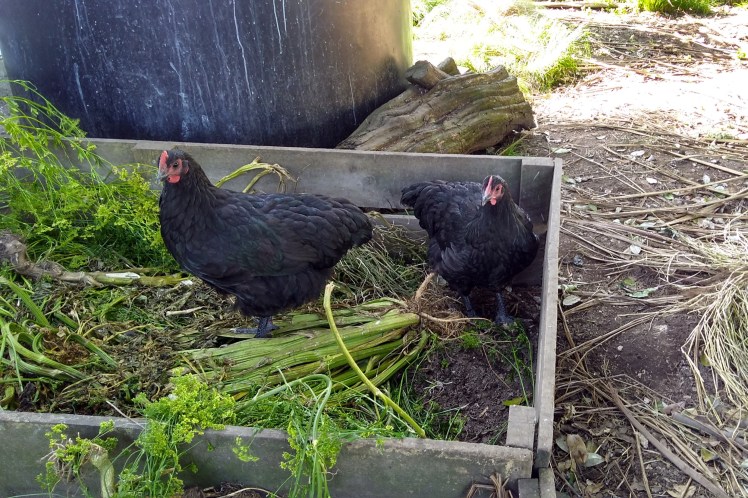 IMG_20191123_171505697_HDR 3x2