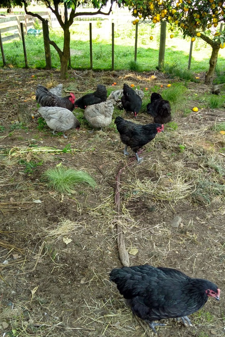 IMG_20191124_171717893_HDR 3x2