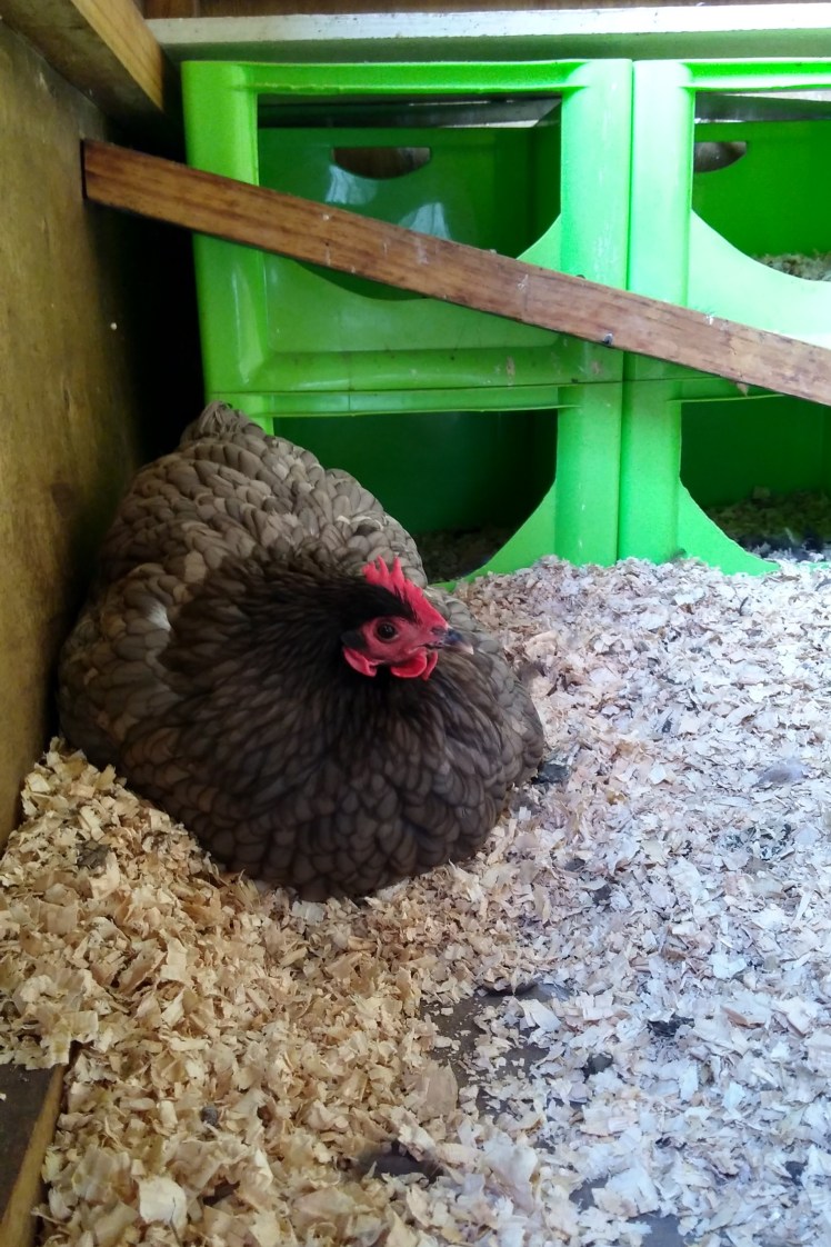 IMG_20191130_125846975_HDR 3x2.jpg