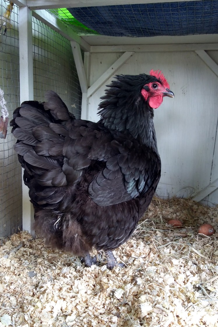 IMG_20191130_130003441_HDR 3x2