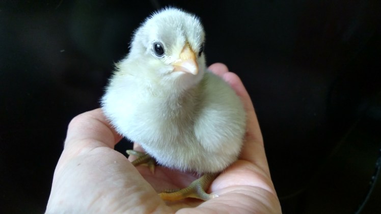 IMG_20191210_171759268_HDR