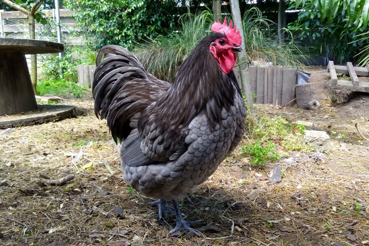 IMG_20191212_104621085_HDR 3x2