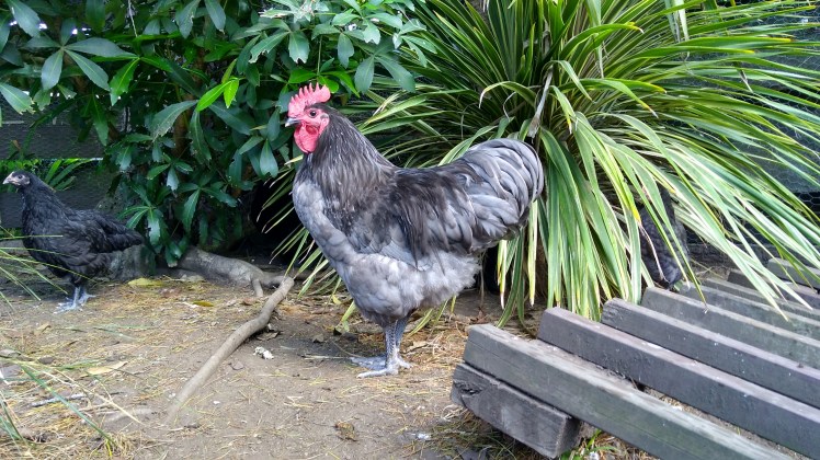 IMG_20191212_104915137_HDR