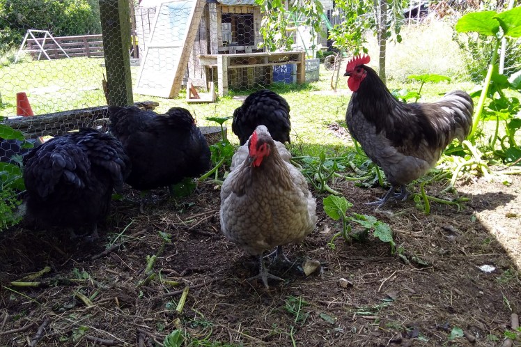 IMG_20191221_111914637_HDR 3x2