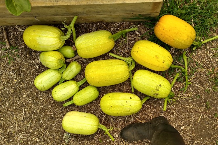 IMG_20200102_103800399_HDR 3x2.jpg