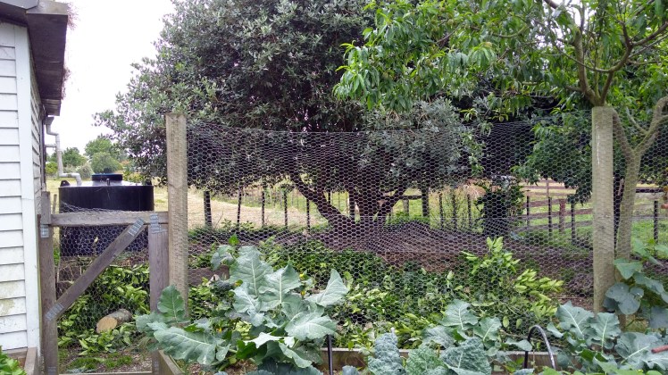 IMG_20191230_111103549_HDR