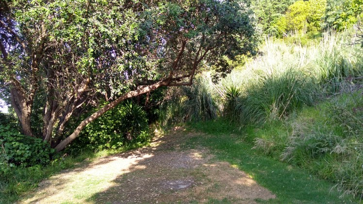 IMG_20200126_175531337_HDR