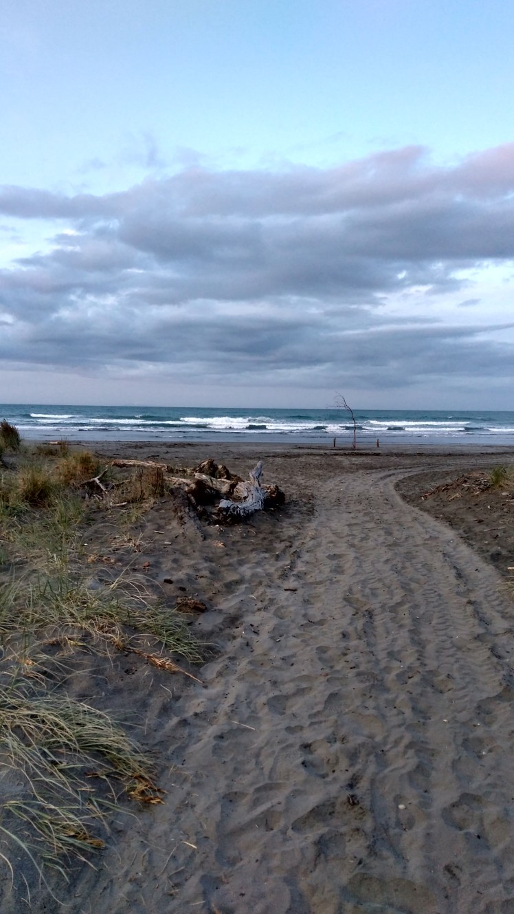 IMG_20200129_202137750_HDR