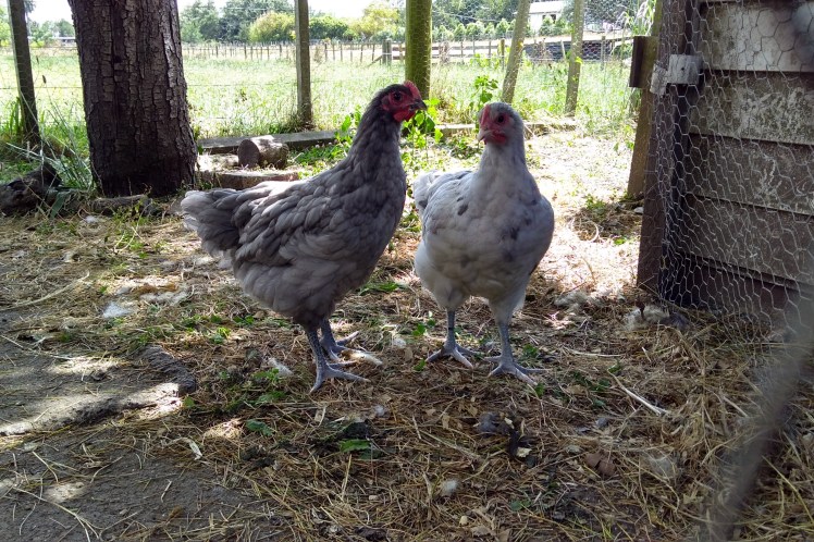 IMG_20200205_114155387_HDR 3x2