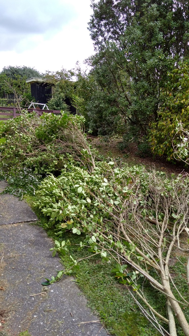 IMG_20200208_110608380_HDR