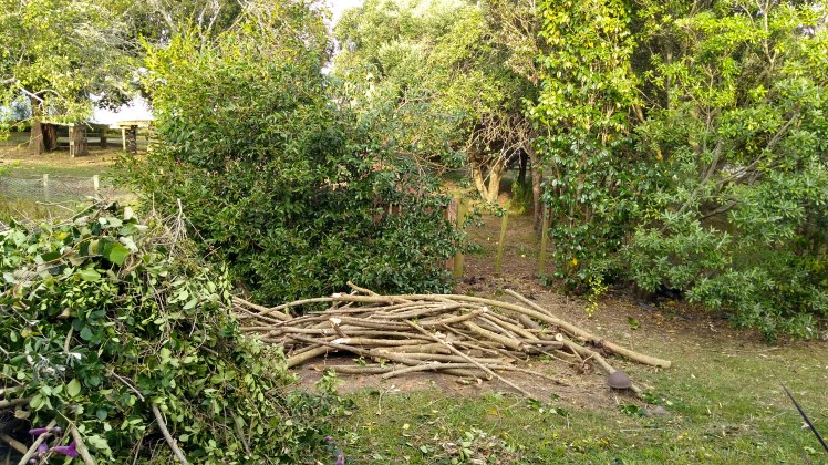 IMG_20200208_191614264_HDR