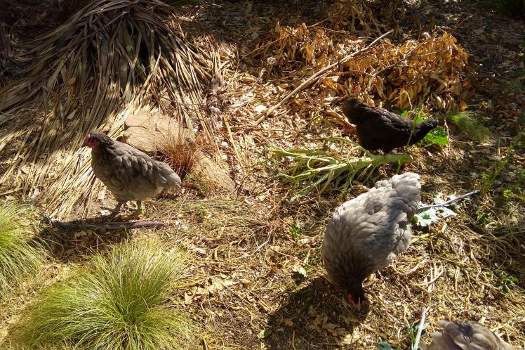 IMG_20200210_101719808_HDR 3x2