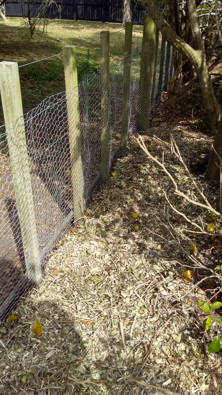 IMG_20200221_160733155_HDR