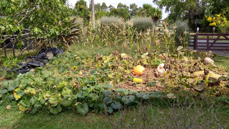 IMG_20200221_160918319_HDR