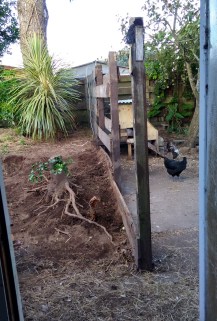 IMG_20180311_072310359_HDR