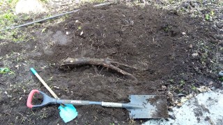 IMG_20190831_104026890_HDR