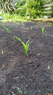 IMG_20191203_160519515_HDR