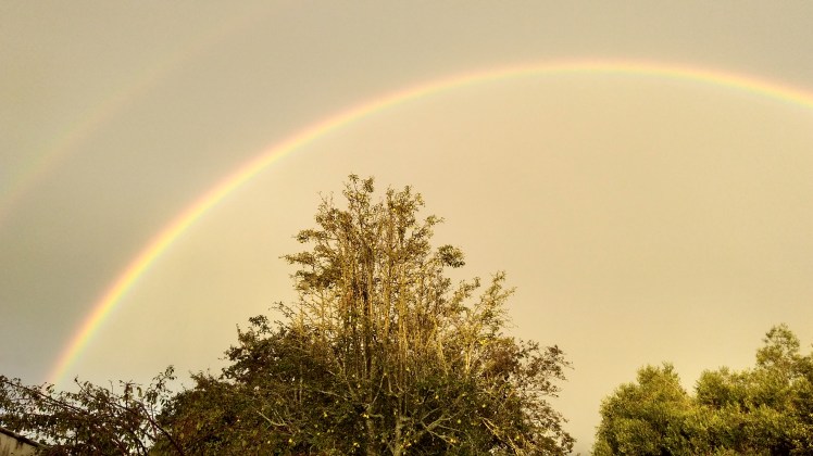 IMG_20200223_194758337_HDR